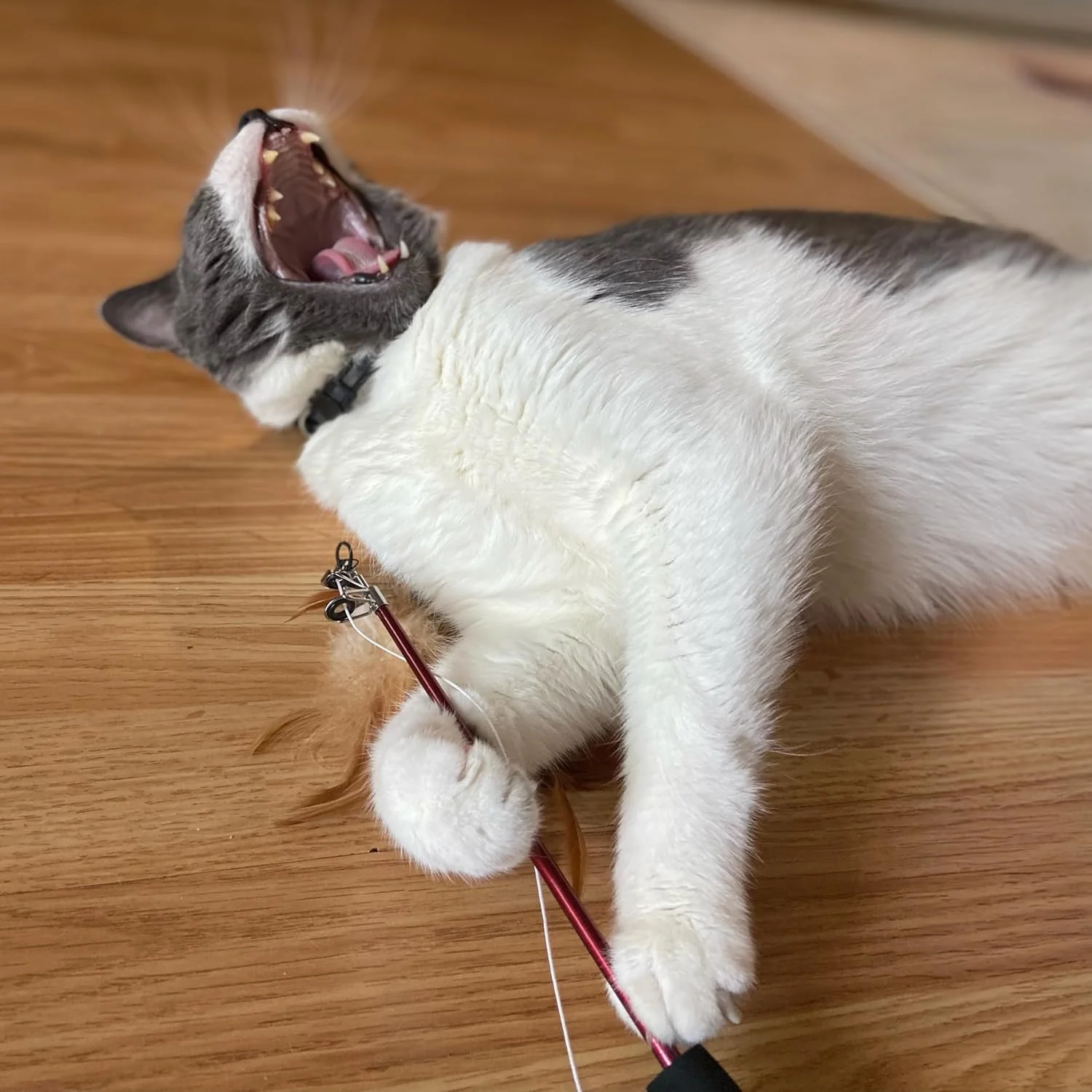 Thumb 5